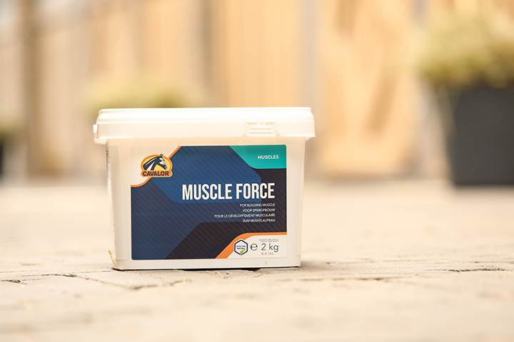 Muscle Force 2KG - CAVALOR