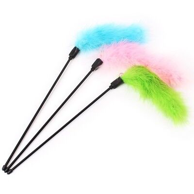 Cat toy rod with feather