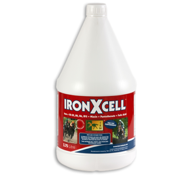 אירונXסל IronXcell -3.75L