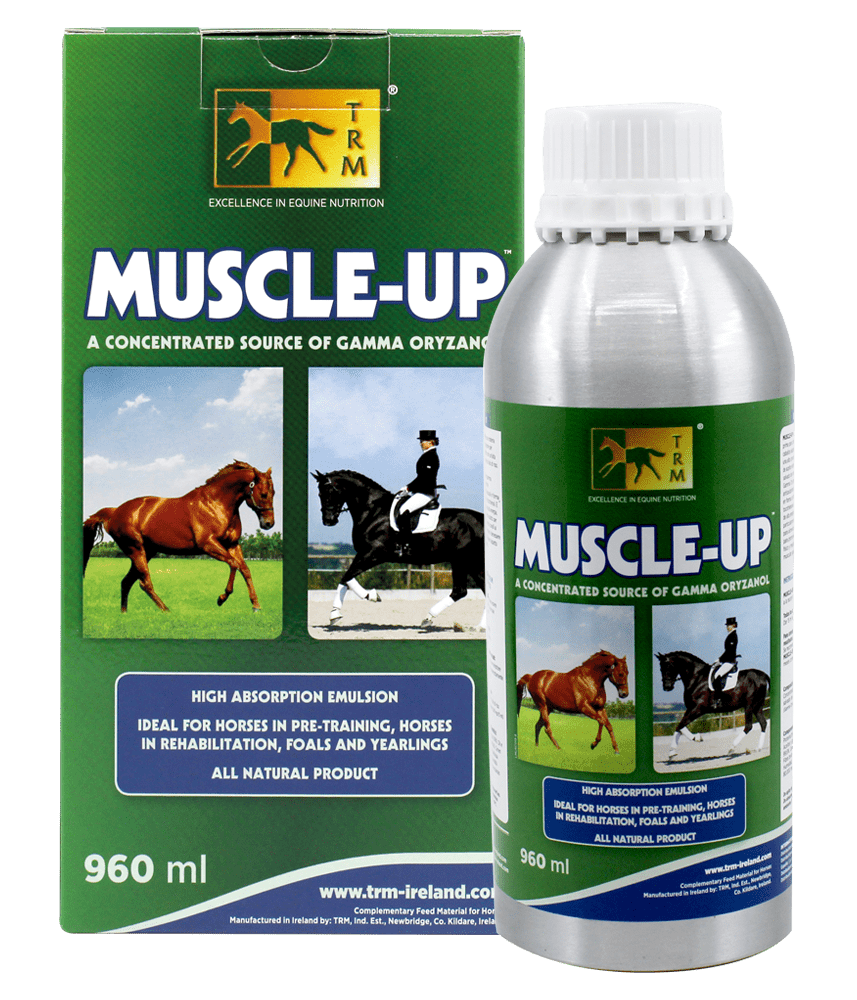 מסל אפ Muscle Up 960ML