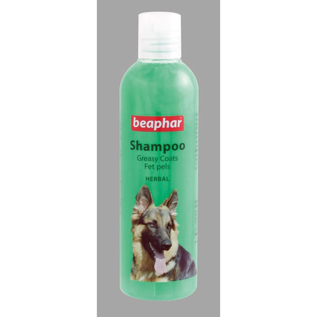 Shampoo for greasy coats 250ml - beapher